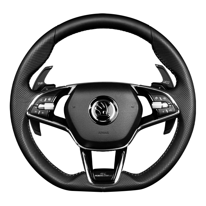 Leyo Motorsport Skoda Paddle Shift Extensions V2