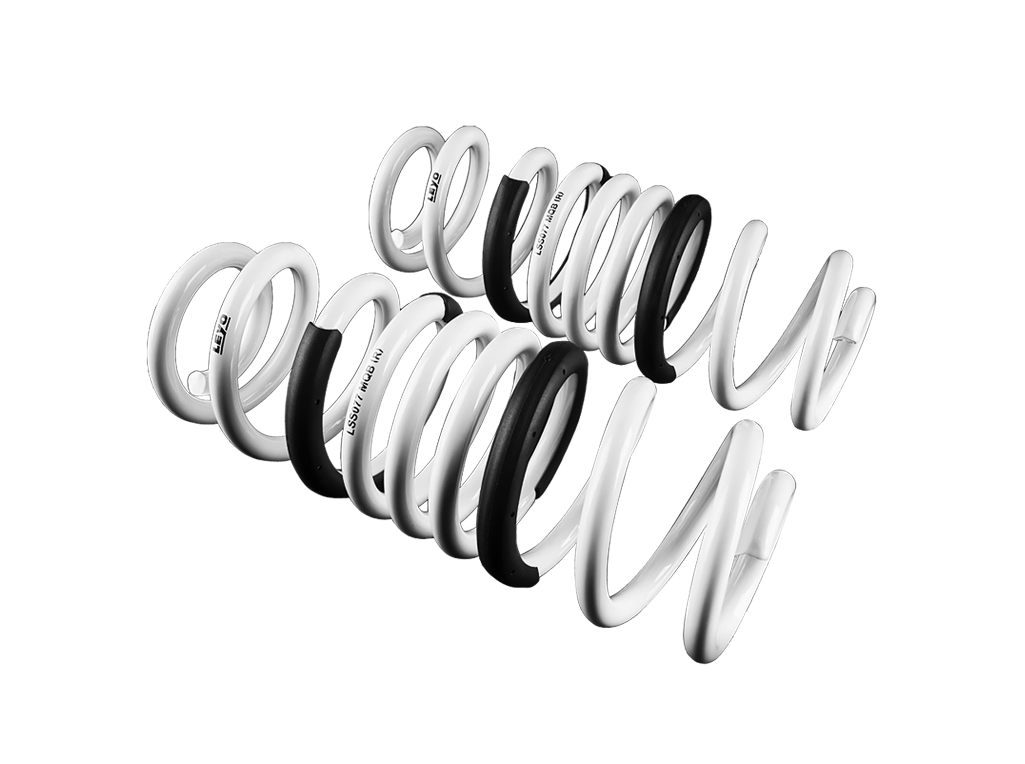 Leyo Motorsport Lowering Springs for MK7/7.5 R