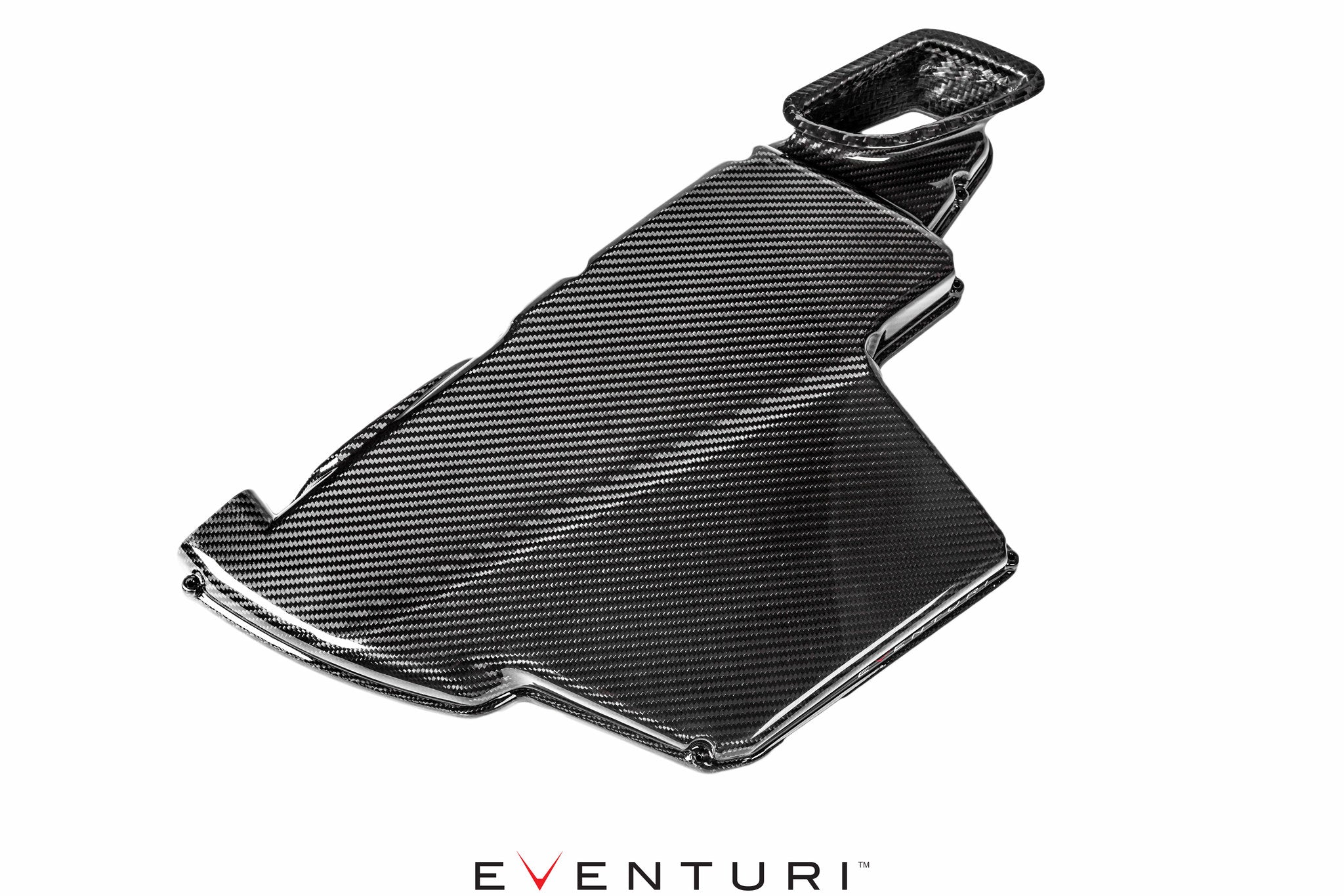 Eventuri Airbox Lid for BMW E9X M3