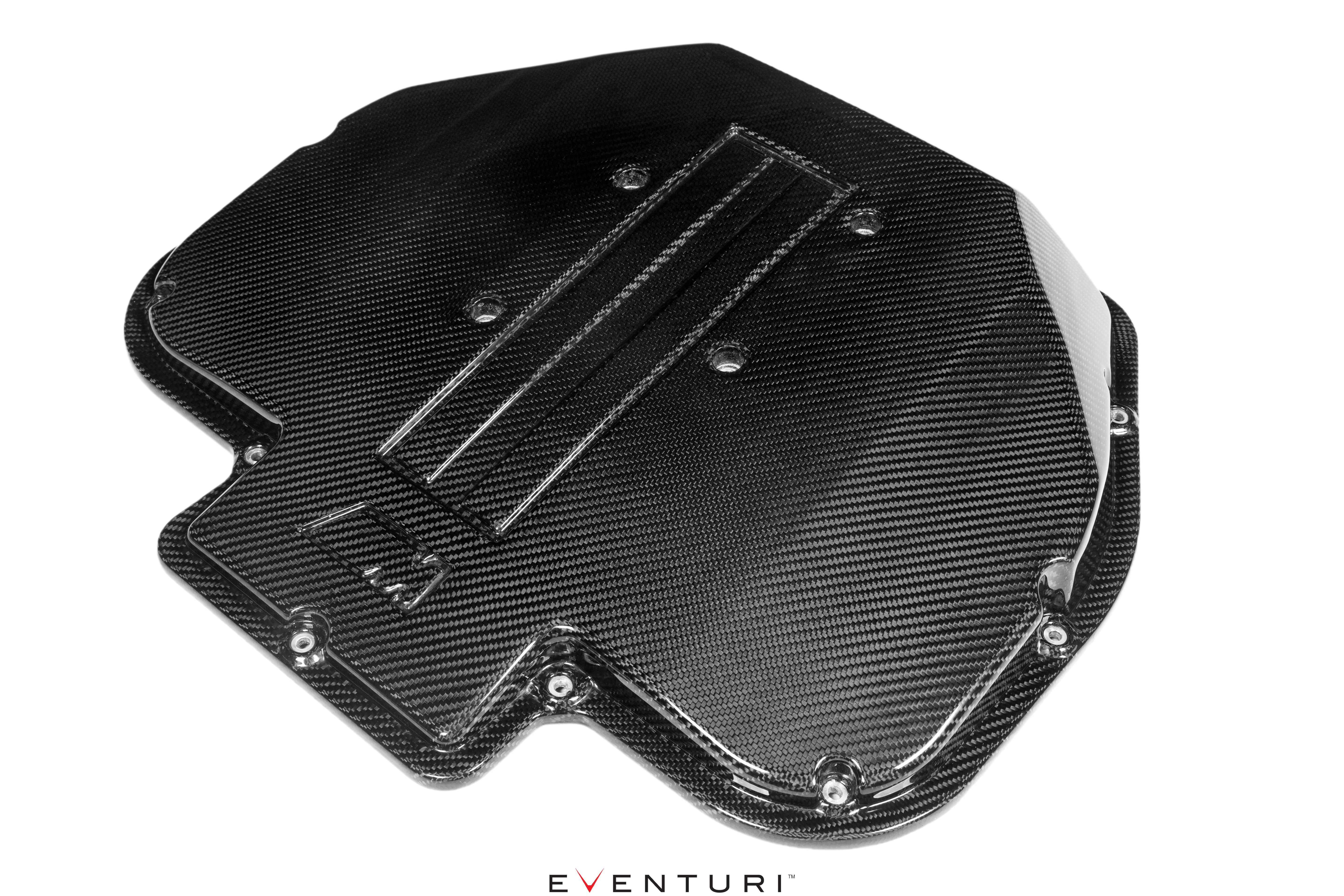 Eventuri Carbon Plenum Lid for BMW E39 M5 and Z8