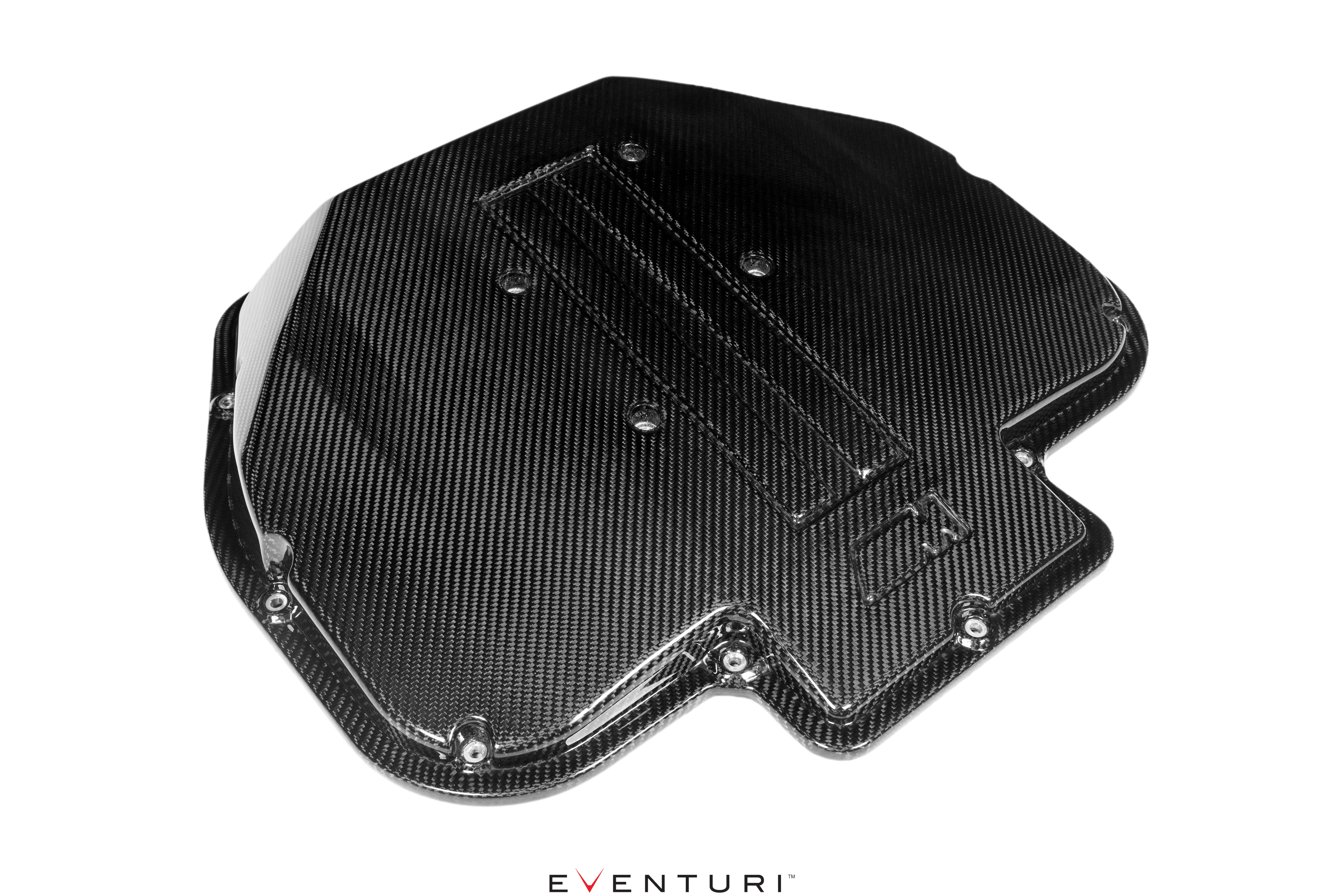Eventuri Carbon Plenum Lid for BMW E39 M5 and Z8