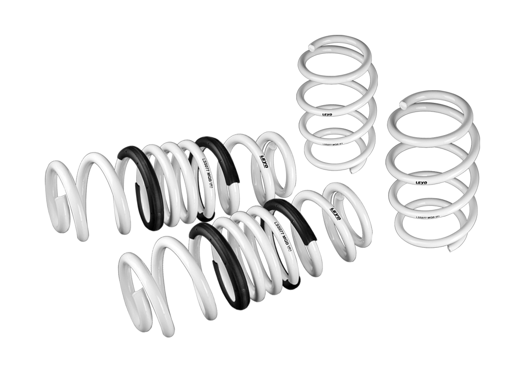 Leyo Motorsport Lowering Springs for MK7/7.5 R