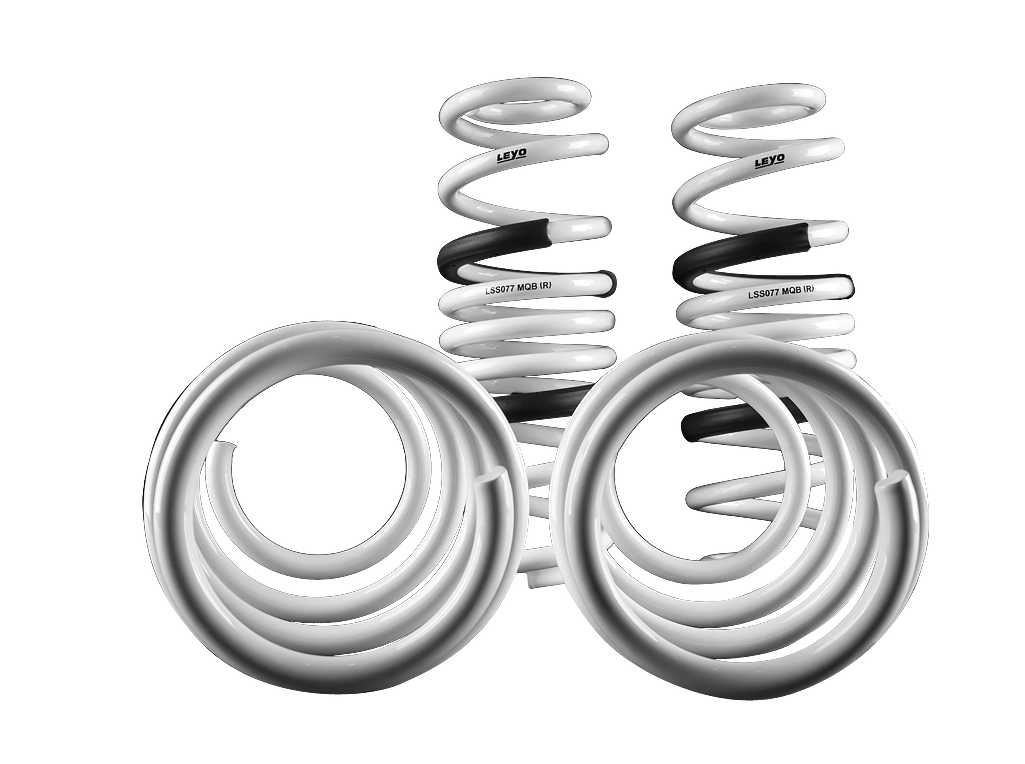 Leyo Motorsport Lowering Springs for MK7/7.5 R