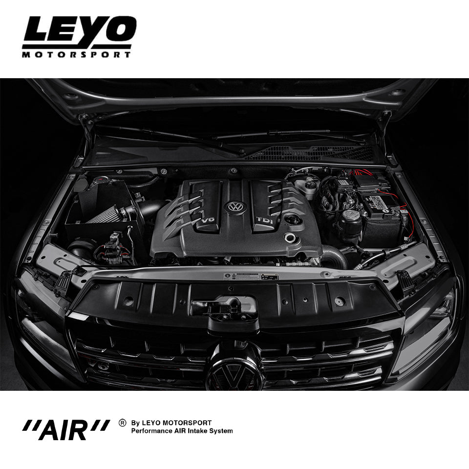 Leyo Motorsport VW Amarok 3.0 V6 Intake System
