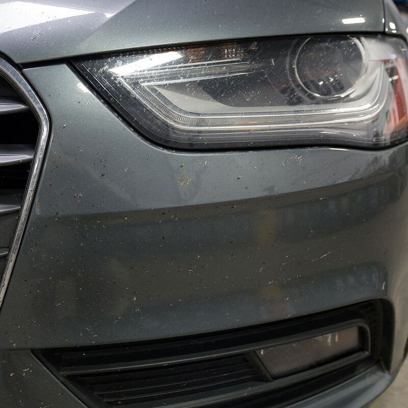 Bug+Tar Remover Heavy Duty Car Wash Shampoo